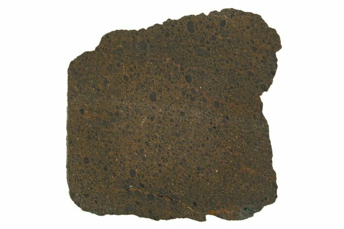 R Chondrite Meteorite ( g) Slice - Mont Tourniat #308375